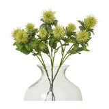 Hill Interiors Green Safflower Spray with rounded spiky green buds and muted foliage arranged in a clear glass vase against a white background.