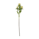 Hill Interiors Cream Safflower Spray with cream fringed thistle-like blooms and slim green foliage on a tall stem, shown against a plain white background.