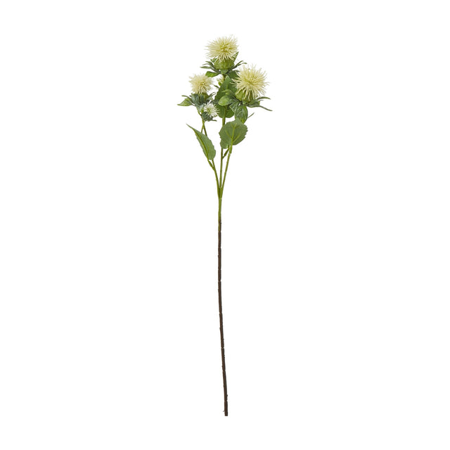 Hill Interiors Cream Safflower Spray with cream fringed thistle-like blooms and slim green foliage on a tall stem, shown against a plain white background.
