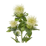 Hill Interiors Cream Safflower Spray with fringed cream thistle-like blooms and green foliage along a branching stem, shown on a plain white background.