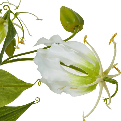 Close-up of the Hill Interiors Cream Gloriosa Spray showing a cream flame lily bloom with wavy petals, green bud and slim foliage on a white background.