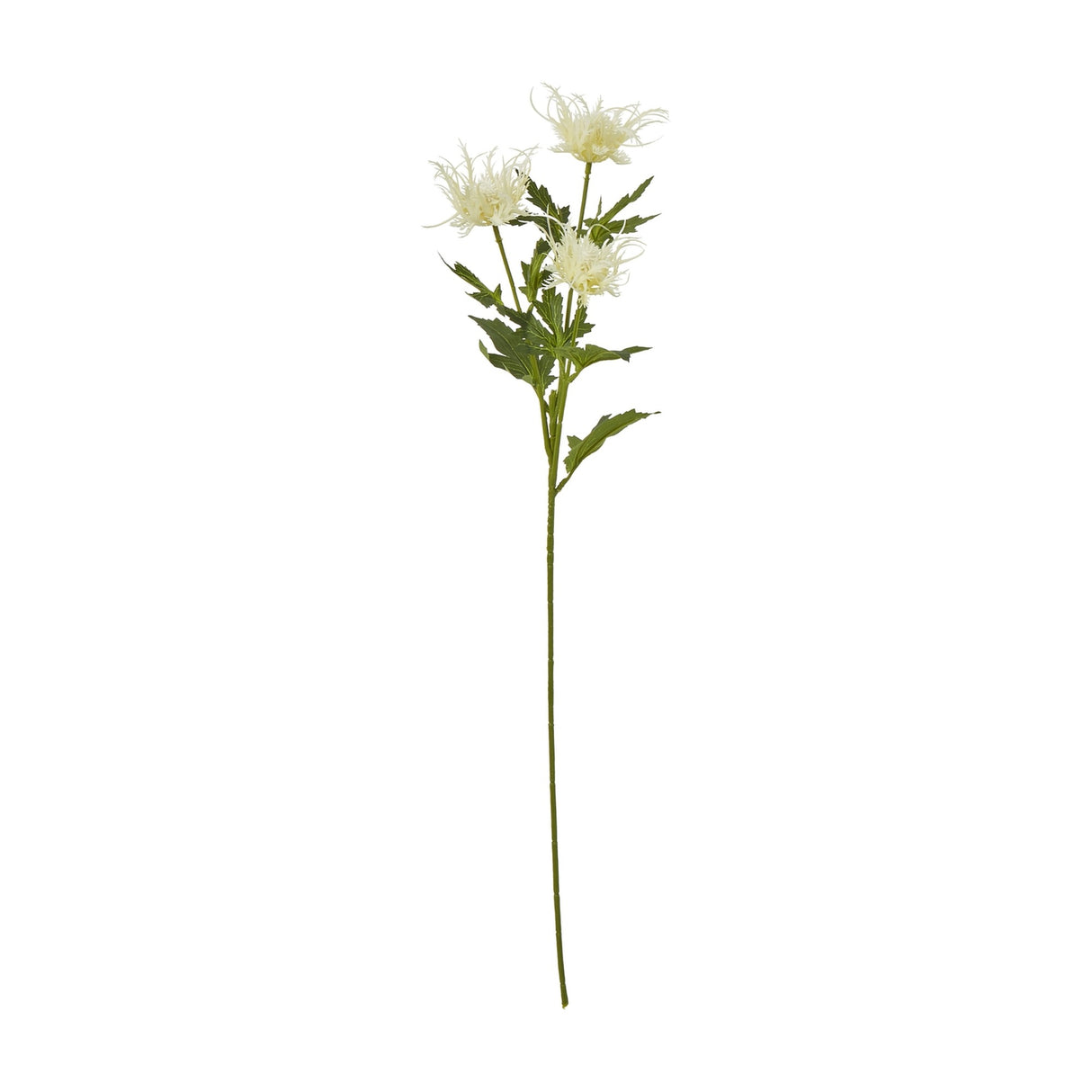 Hill Interiors Cream Sea Holly Spray, a 67cm faux foliage stem with three spiky cream thistle-like heads and green leaves, on a plain white background.