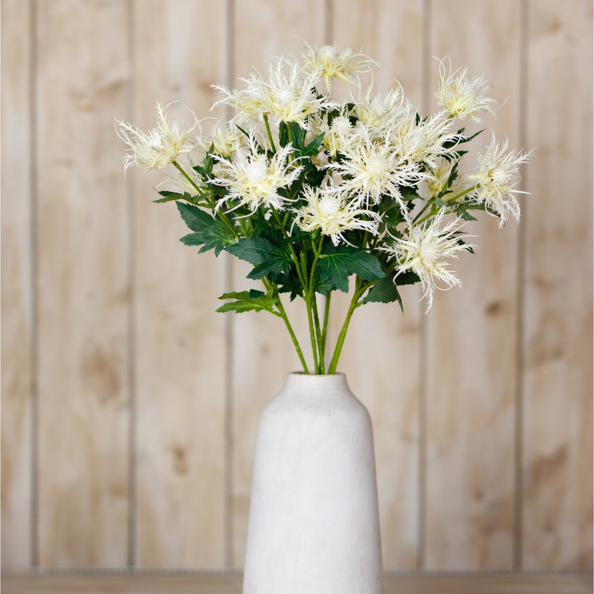 Hill Interiors Cream Sea Holly Spray with spiky cream bracts and green foliage arranged in a tall white ceramic vase against a wooden panel backdrop.