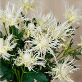 Hill Interiors Cream Sea Holly Spray faux foliage stem with spiky cream bracts and green leaves, shown against a soft neutral background.