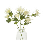 Hill Interiors Cream Sea Holly Spray faux foliage stems with spiky cream bracts and green leaves arranged in a clear glass vase on a white background.