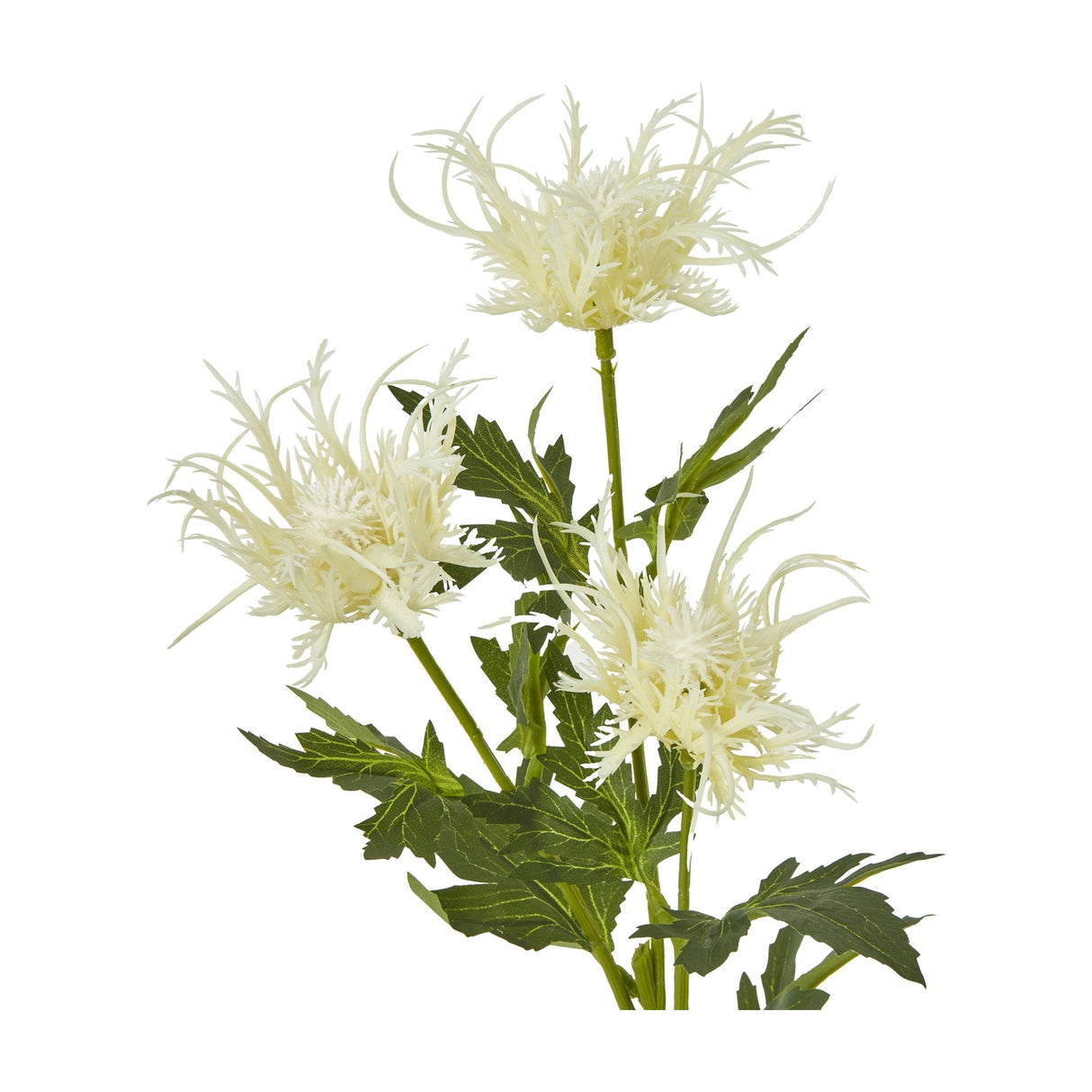 Hill Interiors Cream Sea Holly Spray faux foliage stem with three spiky cream thistle-like heads and green serrated leaves on a white background.