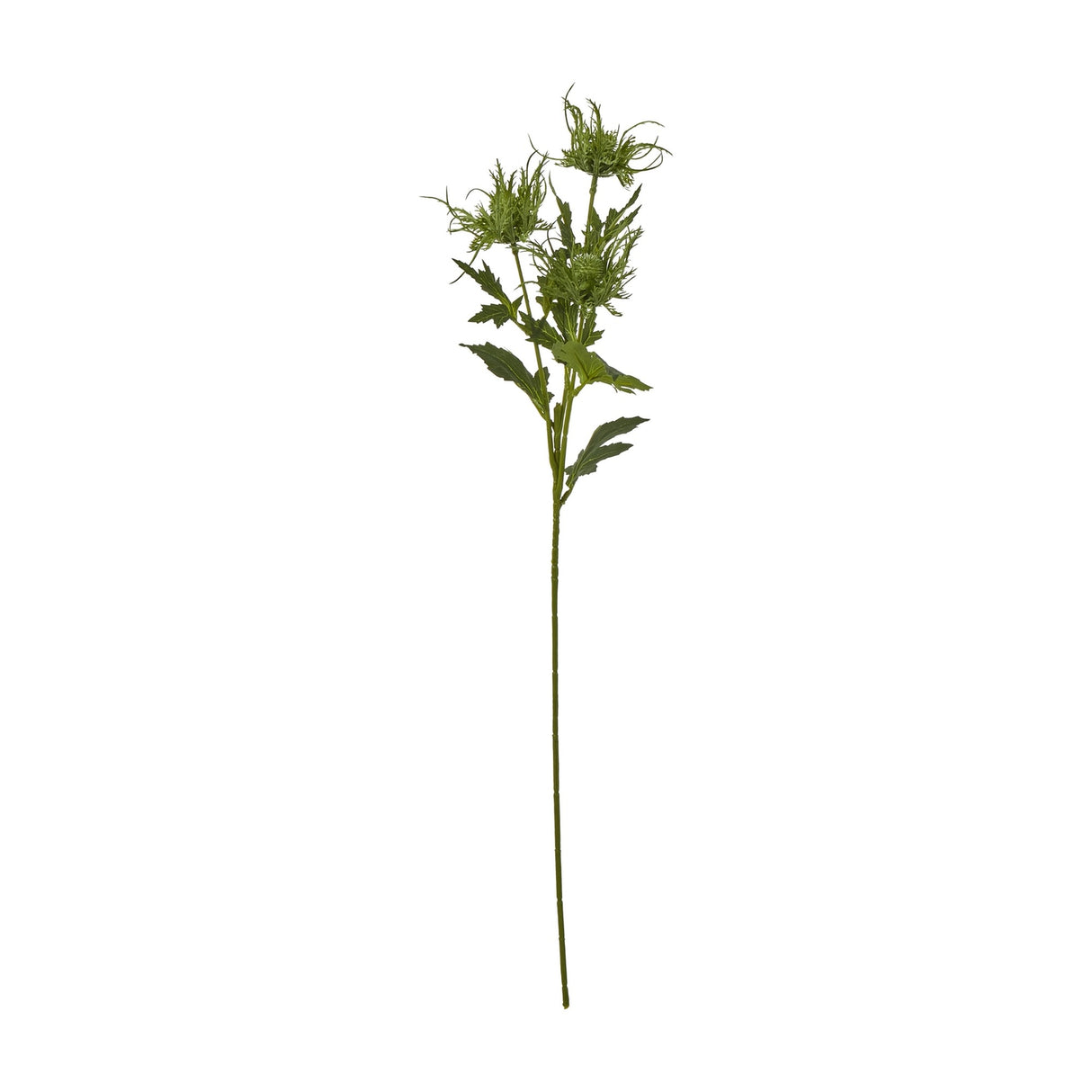 Hill Interiors Green Sea Holly Spray, a 67cm faux foliage stem with spiky thistle-like heads and textured leaves, shown against a plain white background.