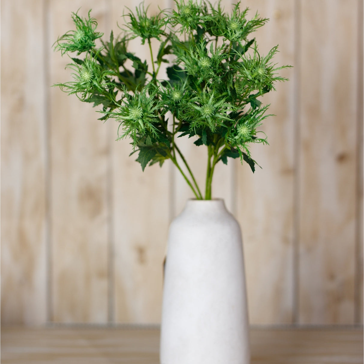 Hill Interiors Green Sea Holly Spray with spiky thistle-like heads and textured foliage arranged in a tall white ceramic vase against a wood panel backdrop.