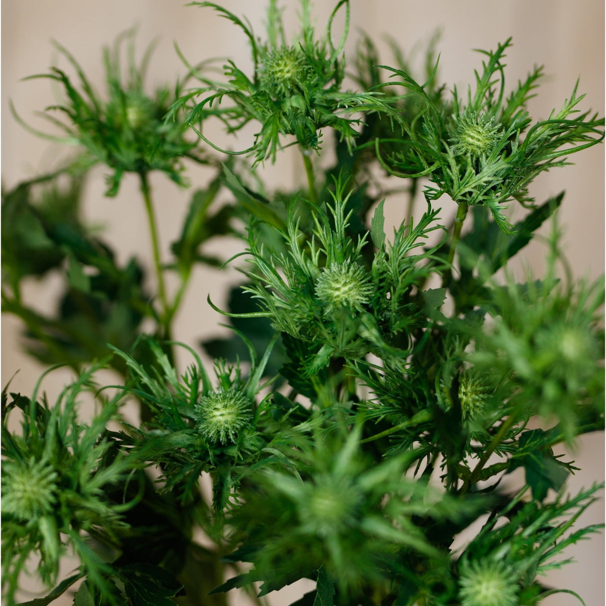 Close-up of Hill Interiors Green Sea Holly Spray faux foliage, showing spiky thistle-like heads and slender textured green leaves against a neutral background.
