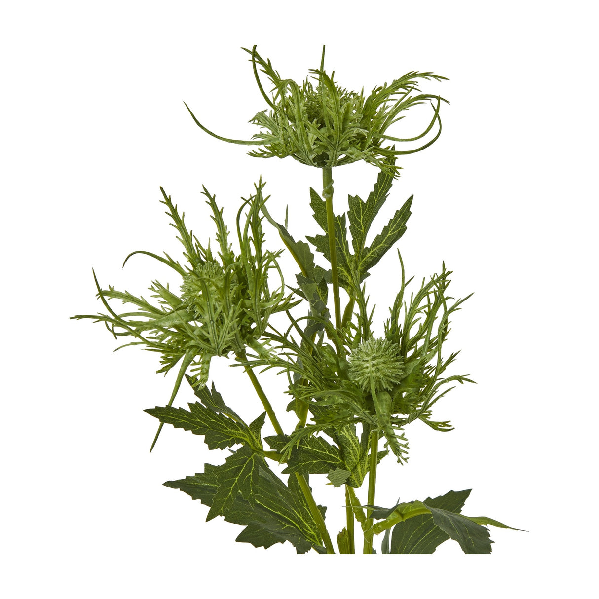 Hill Interiors Green Sea Holly Spray faux foliage stem with spiky thistle-like heads and textured green bracts, shown against a plain white background.