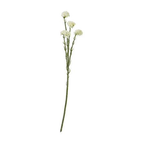 Hill Interiors Cream Statice Spray, a 64cm faux flower stem with four clusters of tightly packed cream florets on slender green stems, on a white background.