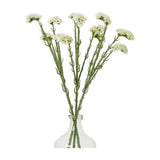 Hill Interiors Cream Statice Spray faux flower stems with clustered papery cream florets on slender green stems, arranged in a clear glass vase.