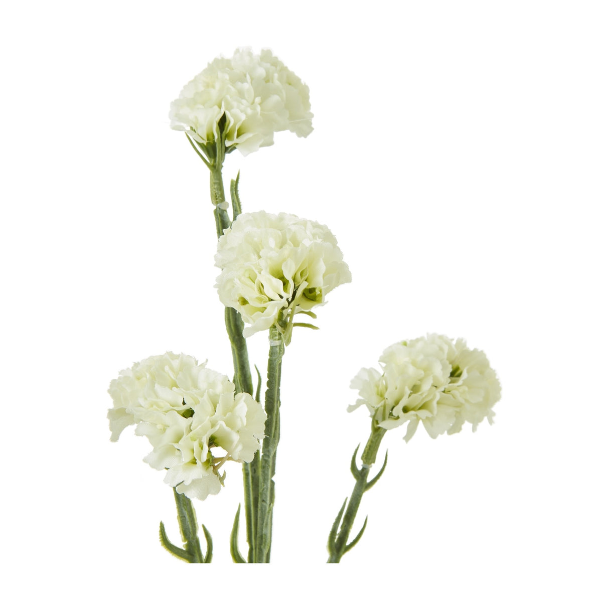 Hill Interiors Cream Statice Spray with clustered cream florets on slender green stems, shown against a plain white background.