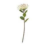 Hill Interiors Cream Protea Nitida Stem, a 45cm faux flower with a cream layered bloom and green leaves on a slim brown stem, on a white background.