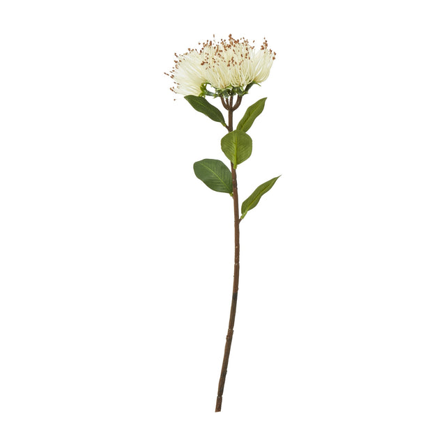 Hill Interiors Cream Protea Nitida Stem, a 45cm faux flower with a cream layered bloom and green leaves on a slim brown stem, on a white background.