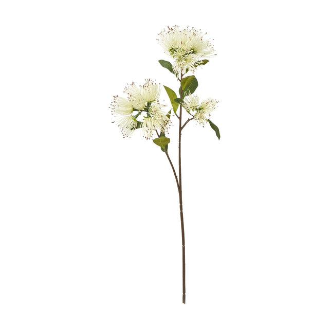 Hill Interiors Cream Protea Nitida Spray, a 65cm faux stem with cream pincushion-style blooms and green leaves on a brown stem, against a white background.