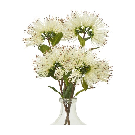 Hill Interiors Cream Protea Nitida Spray with three cream spiky blooms and green foliage arranged in a clear glass vase on a white background.