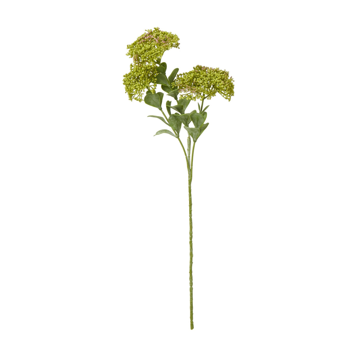 Hill Interiors Green Sedum Spray, a 58cm faux plant stem with clustered flat-topped florets in fresh green tones and small leaves, shown on a white background.