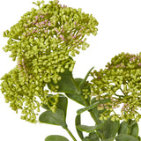 Close-up of the Hill Interiors Green Sedum Spray showing dense clustered florets in fresh green with subtle pink tones above smooth leaves.
