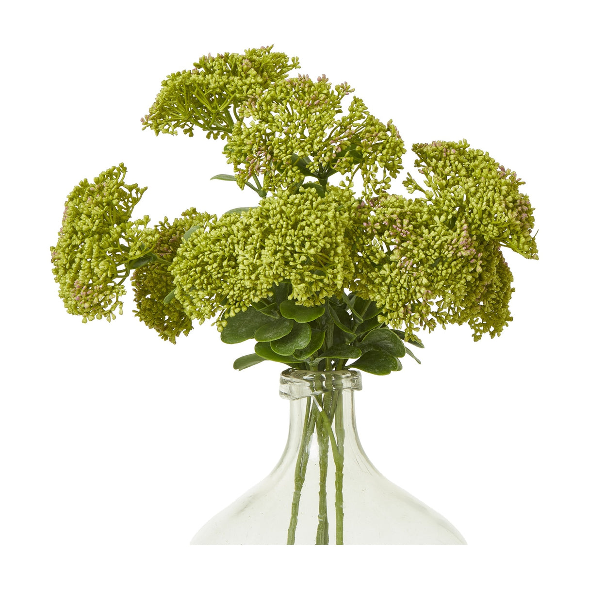 Hill Interiors Green Sedum Spray faux plant with clustered flat-topped florets and small leaves arranged in a clear glass bottle vase on a white background.