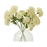 Hill Interiors Cream Sedum Spray faux stems with dense clustered florets and green foliage arranged in a clear glass vase on a white background.