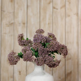 Hill Interiors Purple Sedum Spray with clustered mauve florets and green leaves arranged in a white ceramic vase against a light wood-panelled background.