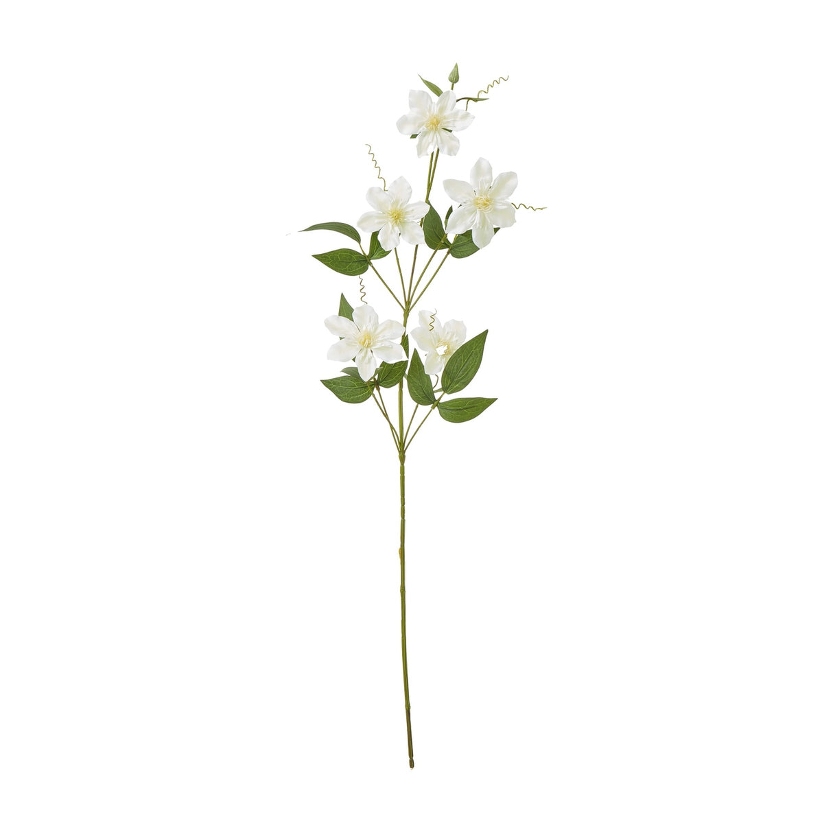 Hill Interiors Cream Pearl Clematis Spray with several open cream blooms, buds, and green leaves along a slim wired stem on a plain white background.