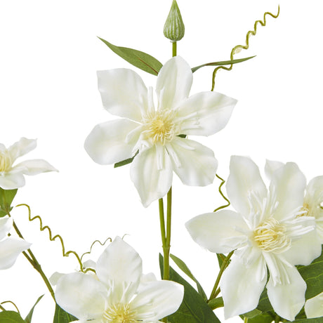 Close-up of Hill Interiors Cream Pearl Clematis Spray showing open cream blooms with pale yellow centres, a green bud, curled tendrils and slim leaves.