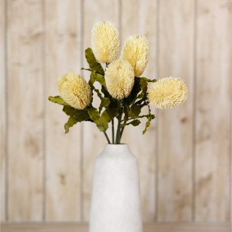 Hill Interiors Large Cream Banksia Serrata Stems in a white ceramic vase, featuring cream bottlebrush blooms and serrated green leaves against wood panelling.