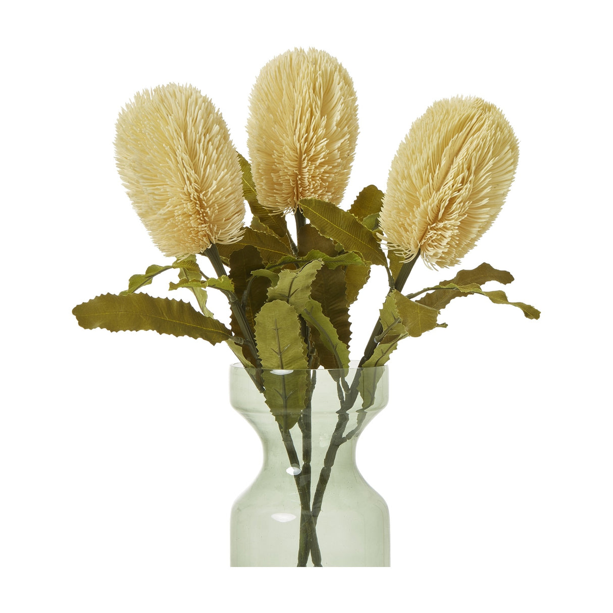 Hill Interiors Large Cream Banksia Serrata Stems arranged in a green glass vase, showing three cream bottlebrush blooms above serrated green leaves.