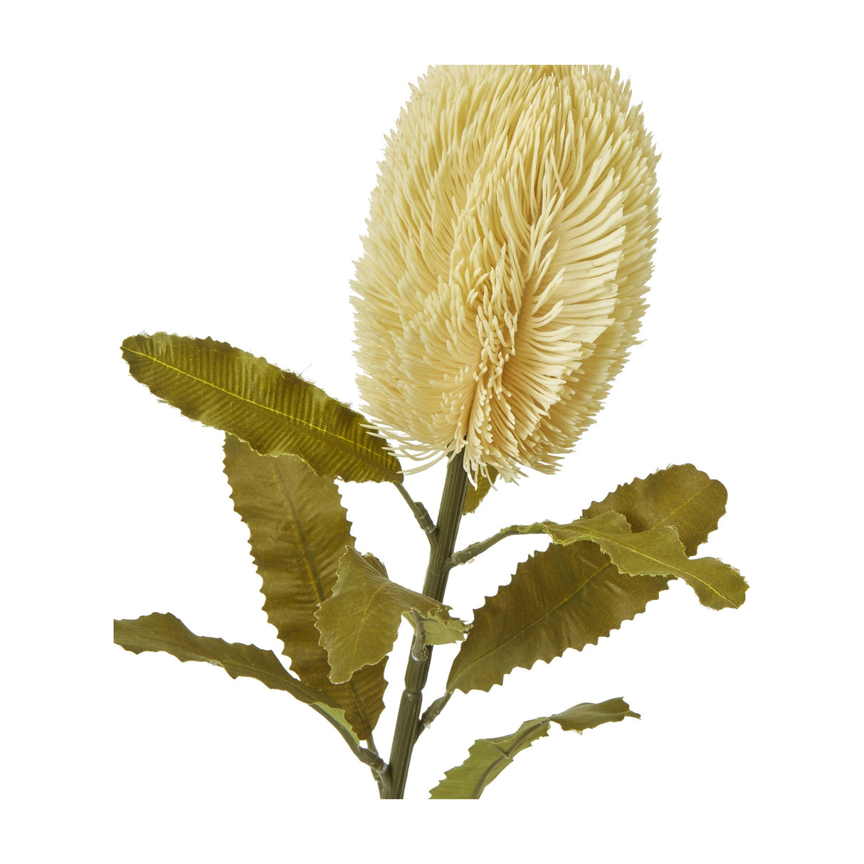 Hill Interiors Large Cream Banksia Serrata faux stem with a tall bottlebrush bloom and serrated green leaves, shown against a plain white background.