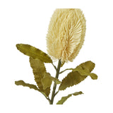 Hill Interiors Large Cream Banksia Serrata faux stem with a tall bottlebrush bloom and serrated green leaves, shown against a plain white background.