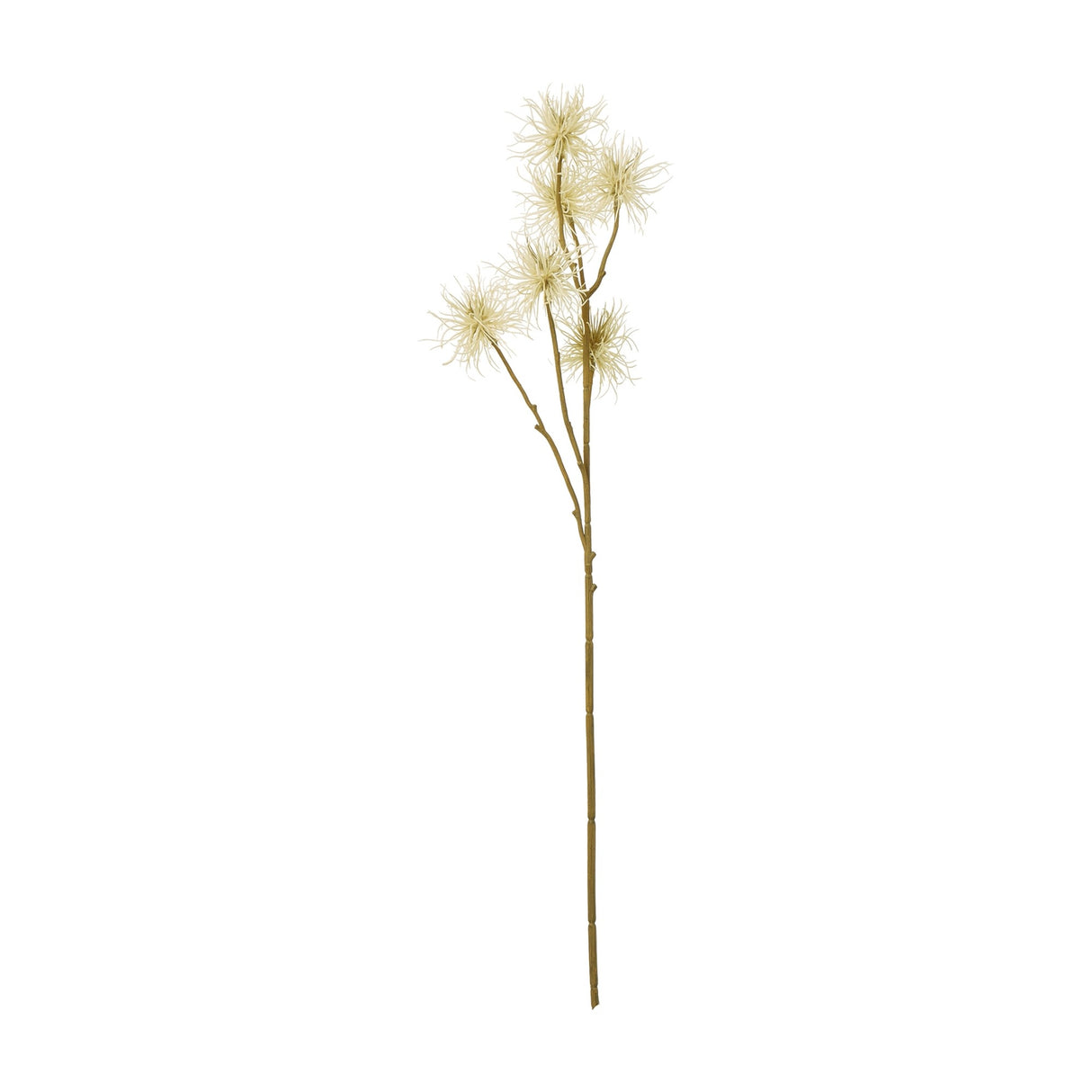 Hill Interiors Cream Xanthium Spray, an 81cm faux flower stem with wispy cream blooms on a slender branching form, shown on a plain white background.