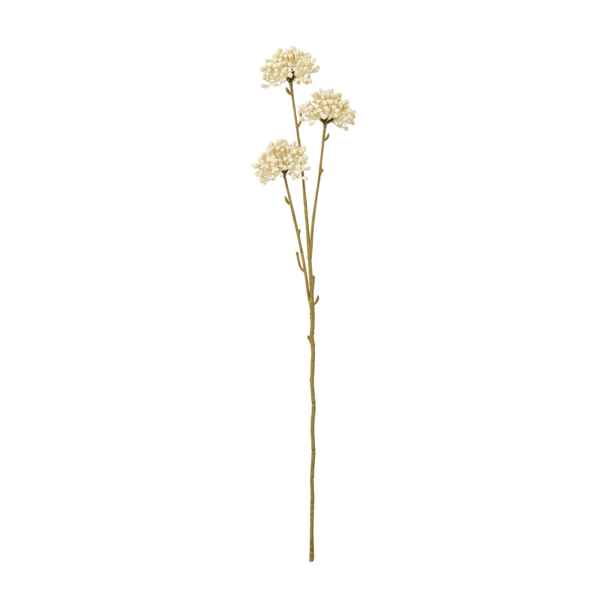 Hill Interiors Cream Allium Spray faux stem with three rounded clusters of tiny cream florets on a slim brown stem, shown on a plain white background.