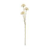 Hill Interiors Cream Allium Spray faux stem with three rounded clusters of tiny cream florets on a slim brown stem, shown on a plain white background.
