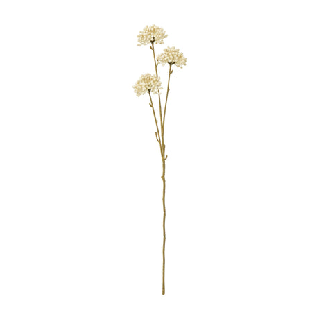 Hill Interiors Cream Allium Spray faux stem with three rounded clusters of tiny cream florets on a slim brown stem, shown on a plain white background.