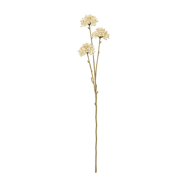 Hill Interiors Cream Allium Spray faux stem with three rounded clusters of tiny cream florets on a slim brown stem, shown on a plain white background.