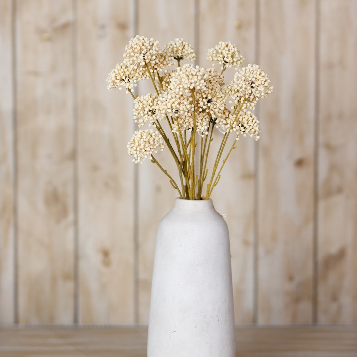 Hill Interiors Cream Allium Spray with clustered globe-like florets on slim stems, arranged in a tall white ceramic vase against a light wood panel backdrop.