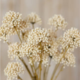 Hill Interiors Cream Allium Spray faux stem with clustered globe-shaped florets in soft cream on slim green stems against a neutral background.