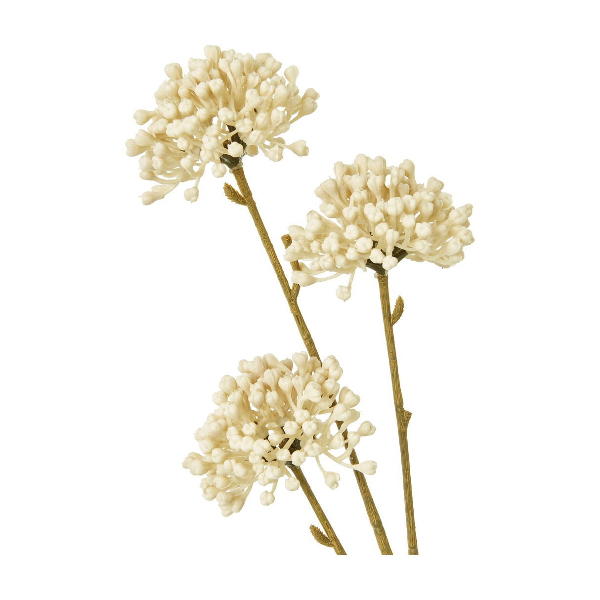 Hill Interiors Cream Allium Spray with three globe-like cream floret heads on slim brown stems, shown against a plain white background.