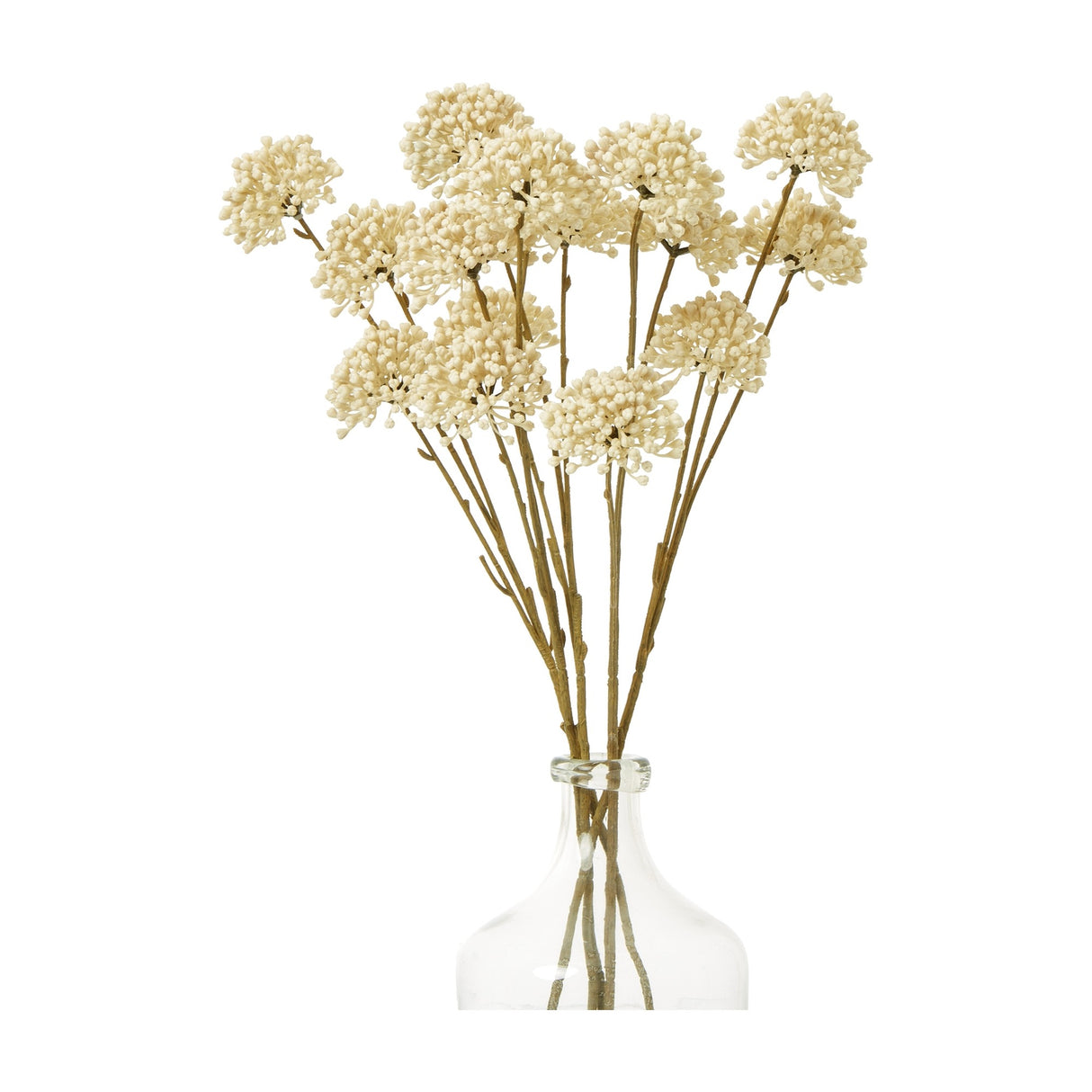 Hill Interiors Cream Allium Spray faux stems with rounded cream floret heads on slim brown stems, arranged in a clear glass bottle vase.