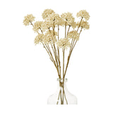 Hill Interiors Cream Allium Spray faux stems with rounded cream floret heads on slim brown stems, arranged in a clear glass bottle vase.