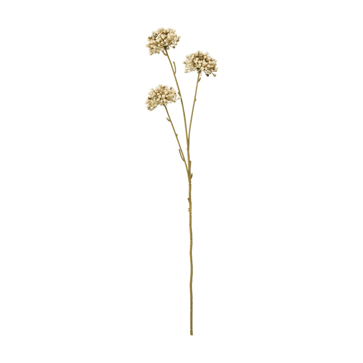 Hill Interiors Brown Allium Spray faux stem with three round clusters of tiny cream florets on a slender brown stem, shown against a white background.