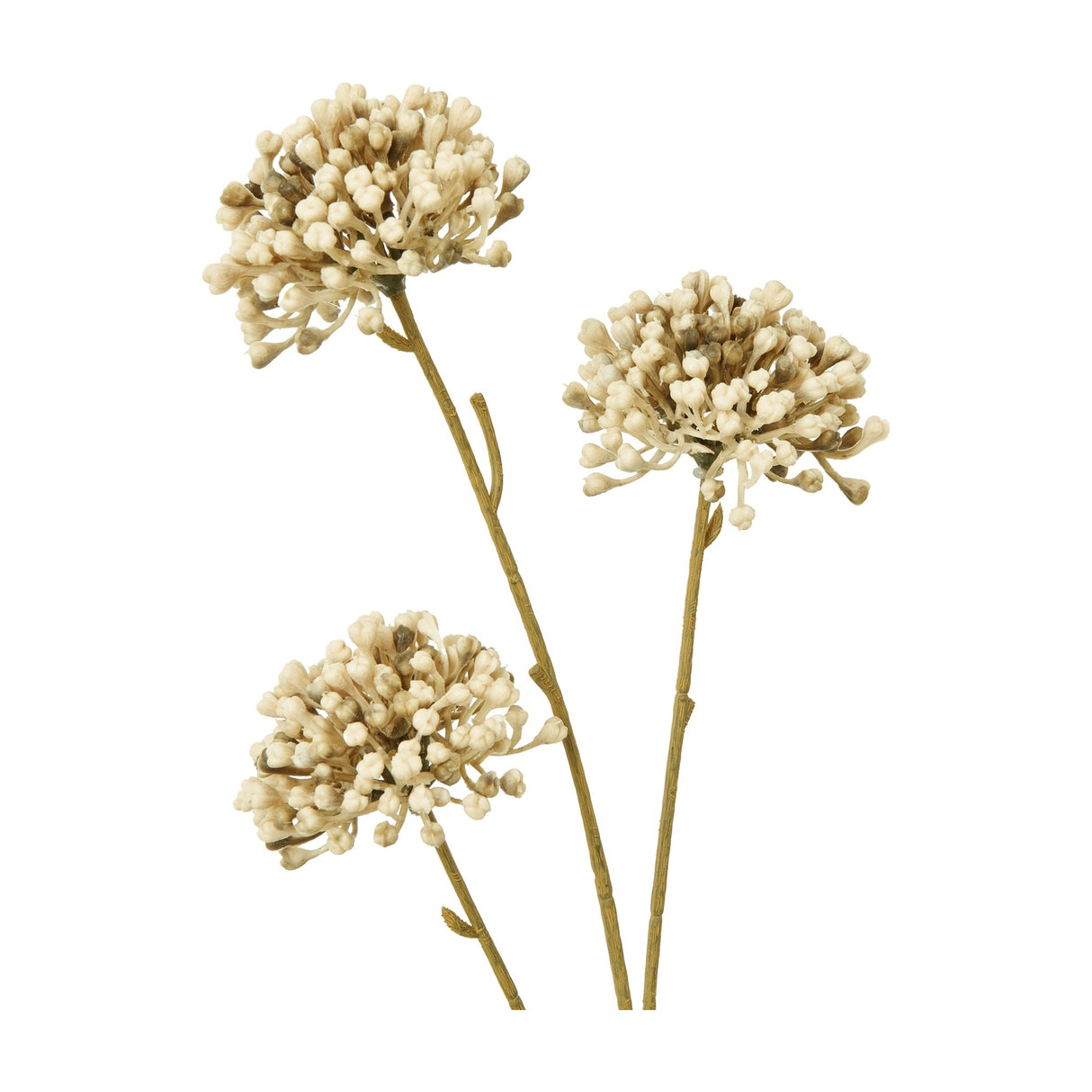 Hill Interiors Brown Allium Spray faux stem with three cream globe-shaped florets on slender branching stems, shown against a plain white background.
