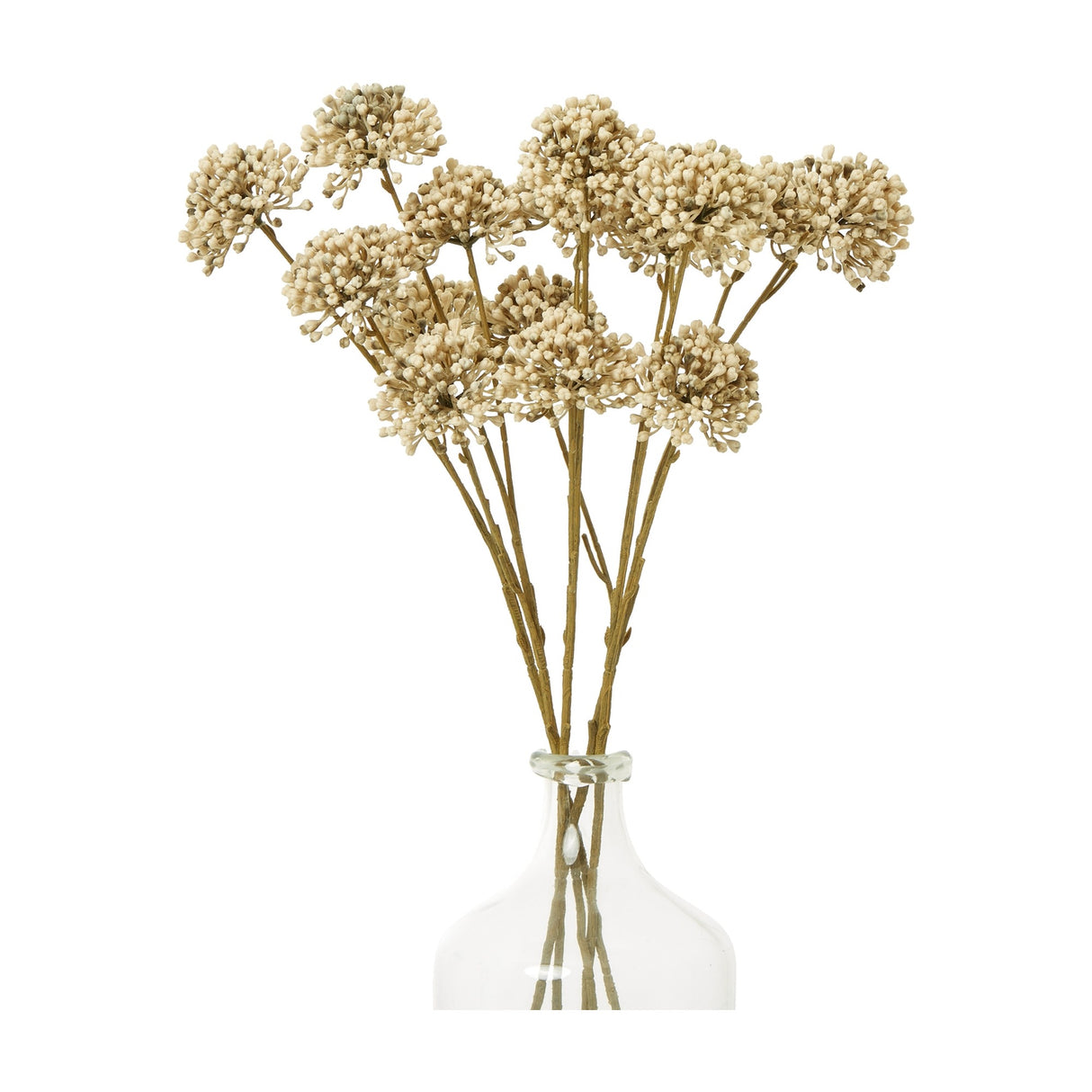 Hill Interiors Brown Allium Spray faux stems with clustered pom-pom florets in warm brown, arranged in a clear glass bottle vase on a white background.