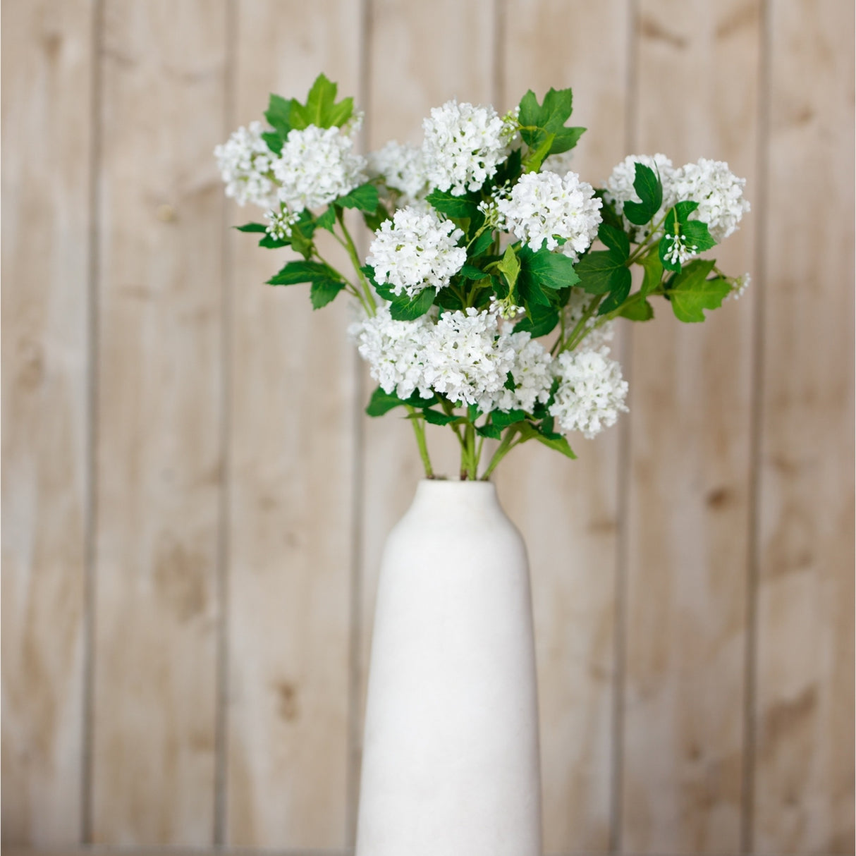 Hill Interiors Cream Snowball Viburnum Spray arranged in a tall white vase against a pale wood plank background.