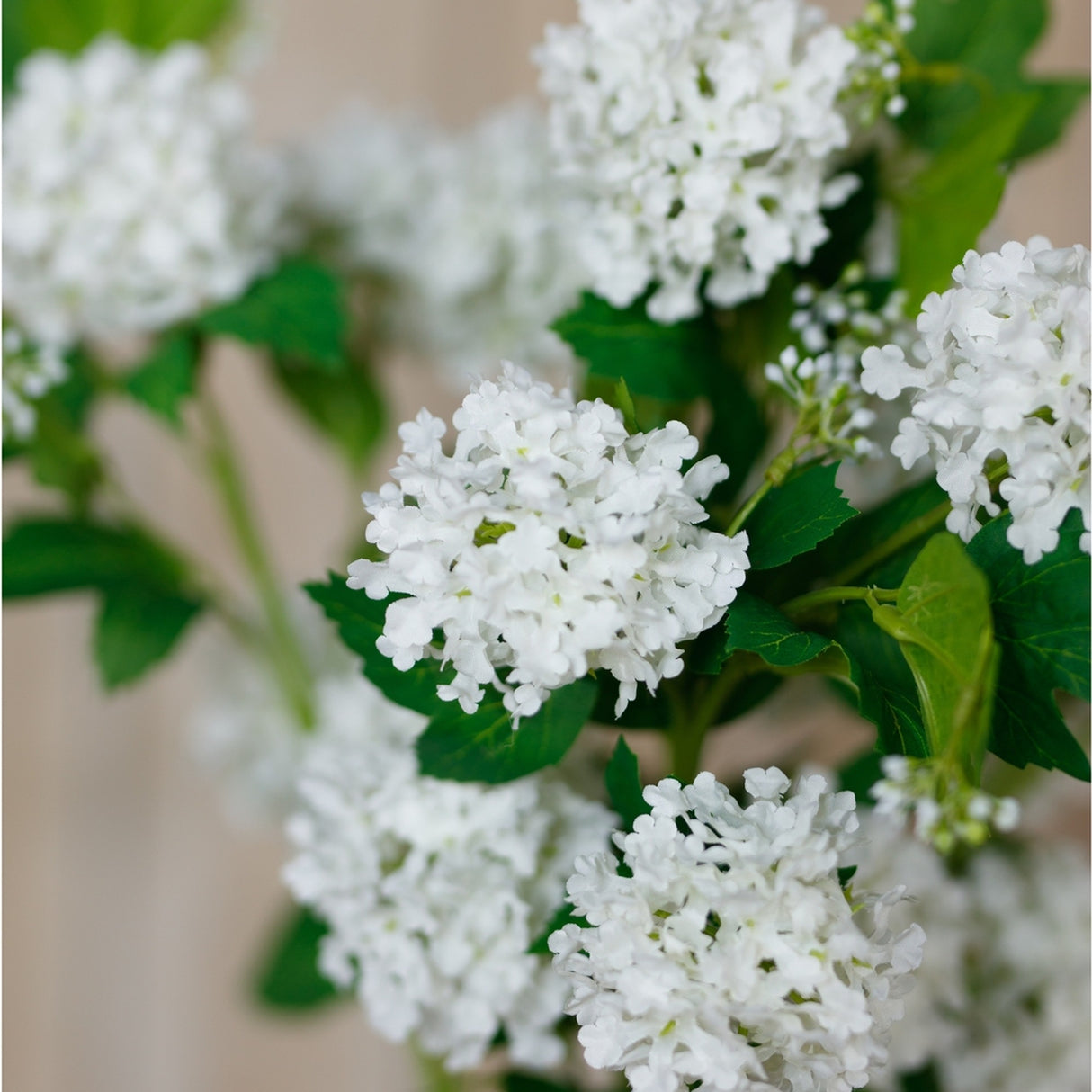 Close-up of Hill Interiors Cream Snowball Viburnum Spray showing rounded cream flower clusters with matte petals and veined green leaves.