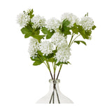 Hill Interiors Cream Snowball Viburnum Spray with rounded white bloom clusters and green veined leaves arranged in a clear glass bottle vase.
