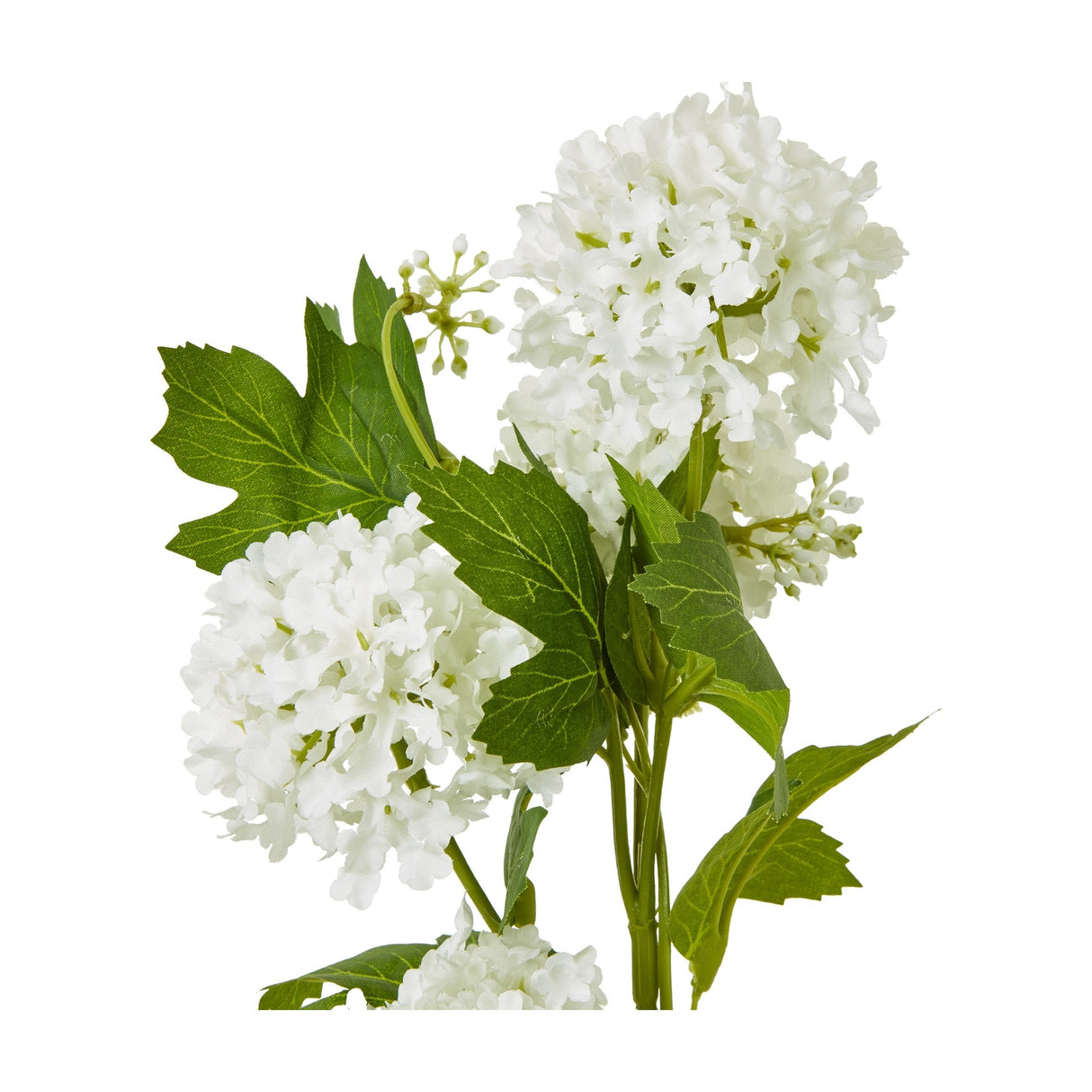 Hill Interiors Cream Snowball Viburnum Spray with rounded cream flower clusters and veined green leaves on a plain white background.