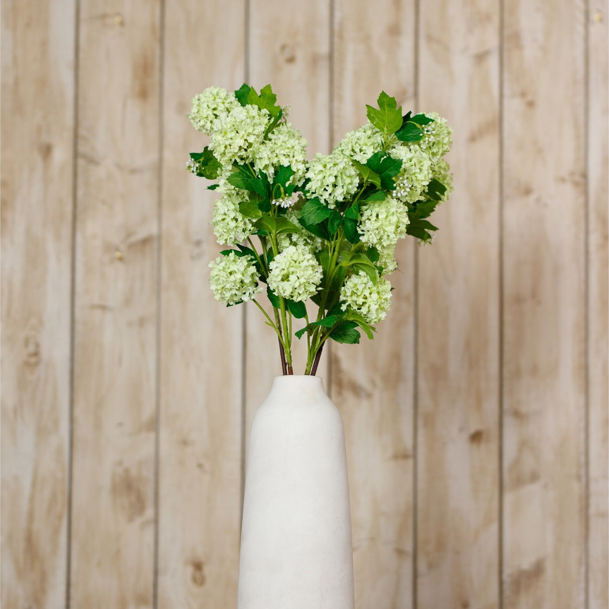 Hill Interiors Green Snowball Viburnum Spray with clustered pale green florets and leaves arranged in a tall white ceramic vase against a wooden plank wall.